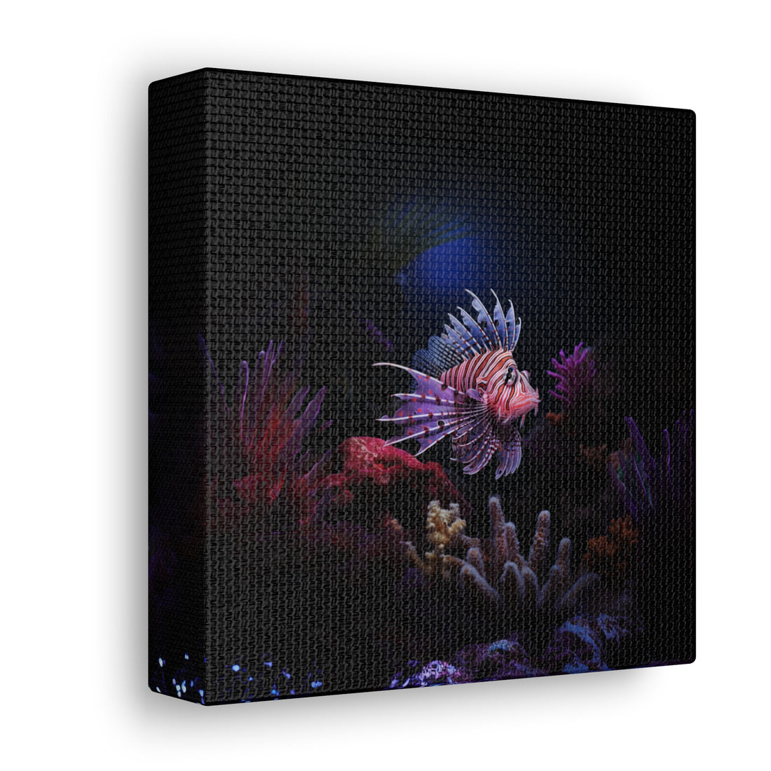 Lionfish Canvas Gallery Wrap