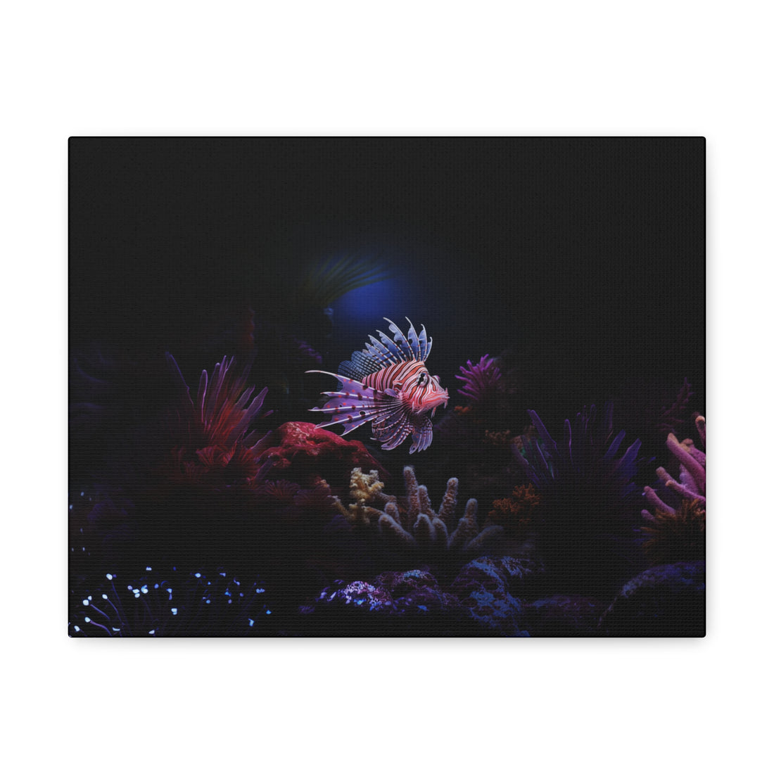 Lionfish Canvas Gallery Wrap