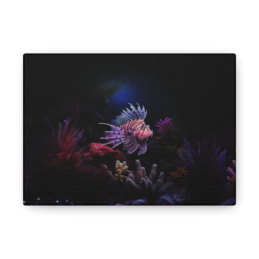 Lionfish Canvas Gallery Wrap