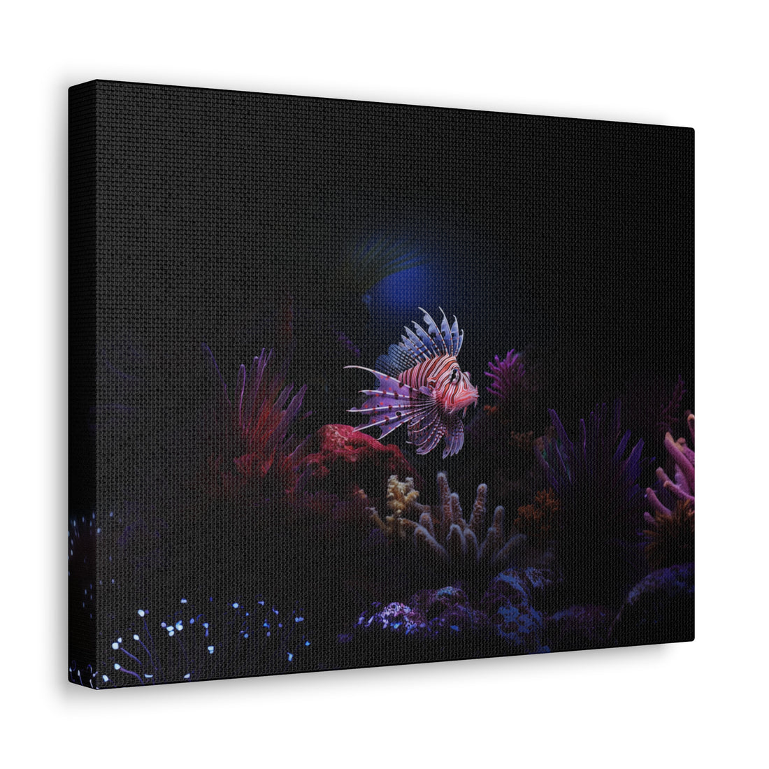 Lionfish Canvas Gallery Wrap