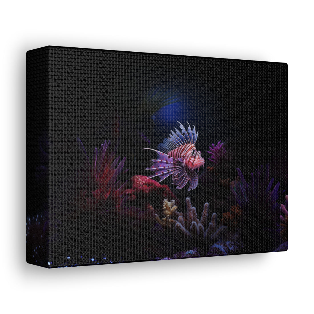 Lionfish Canvas Gallery Wrap